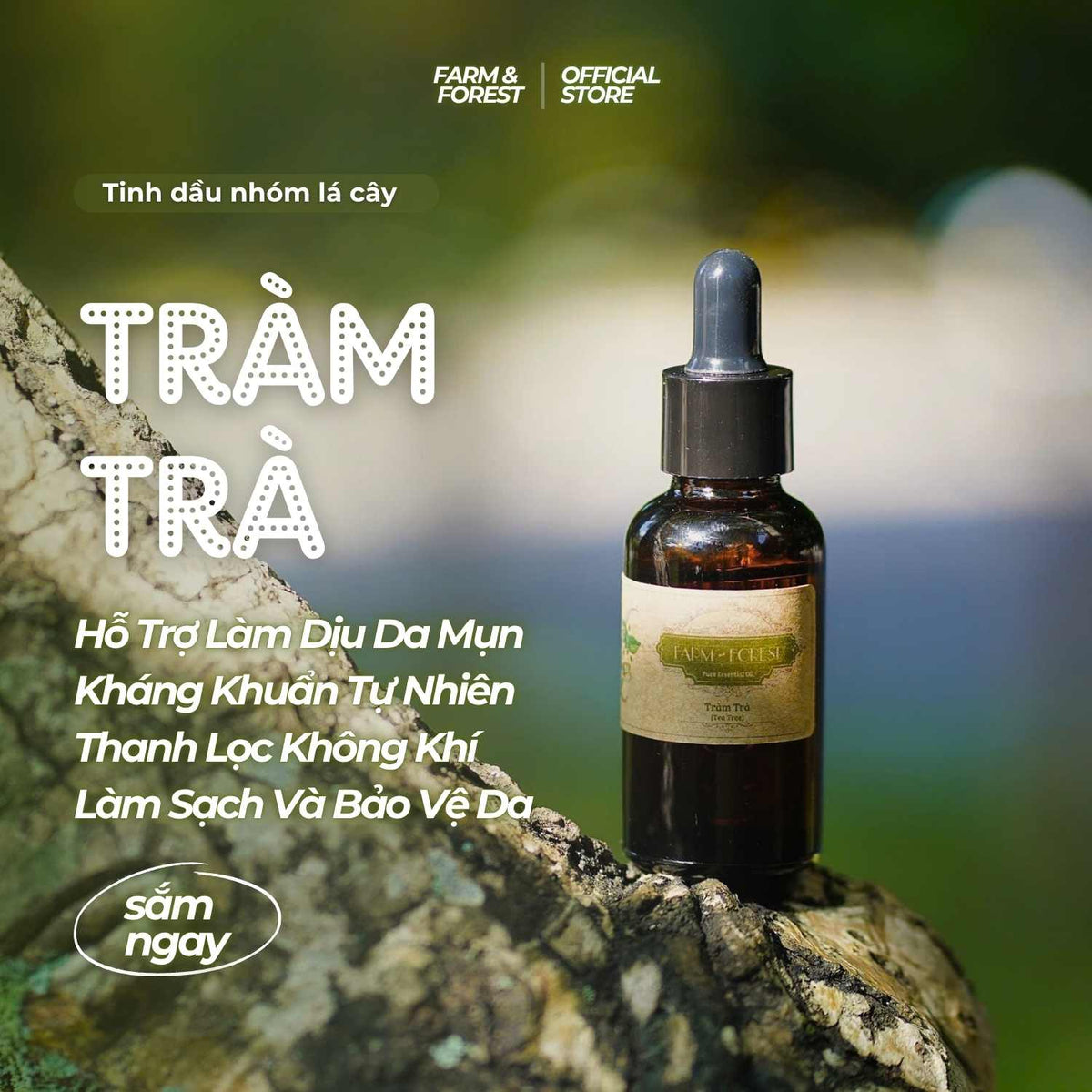 Tinh Dầu Tràm Trà