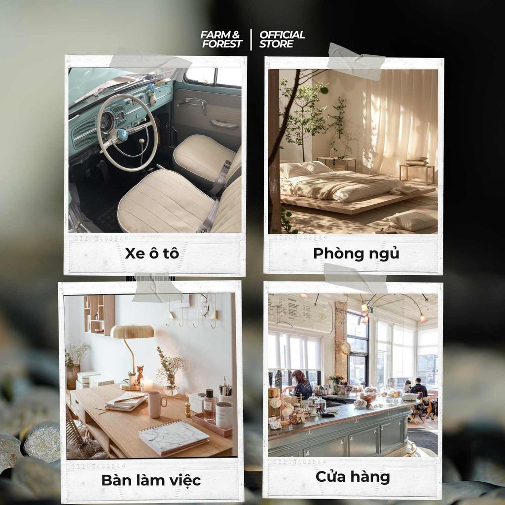 Tinh Dầu Tràm Trà