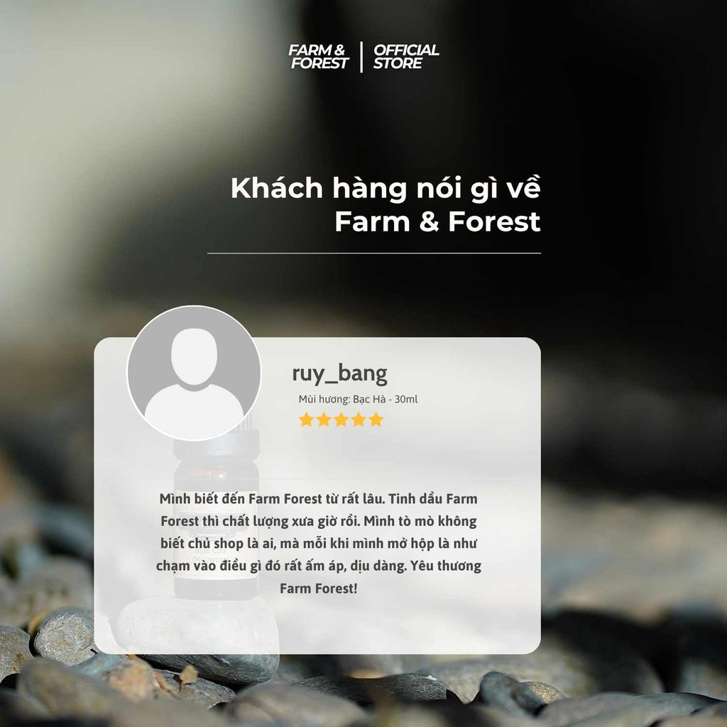 Tinh Dầu Tràm Trà