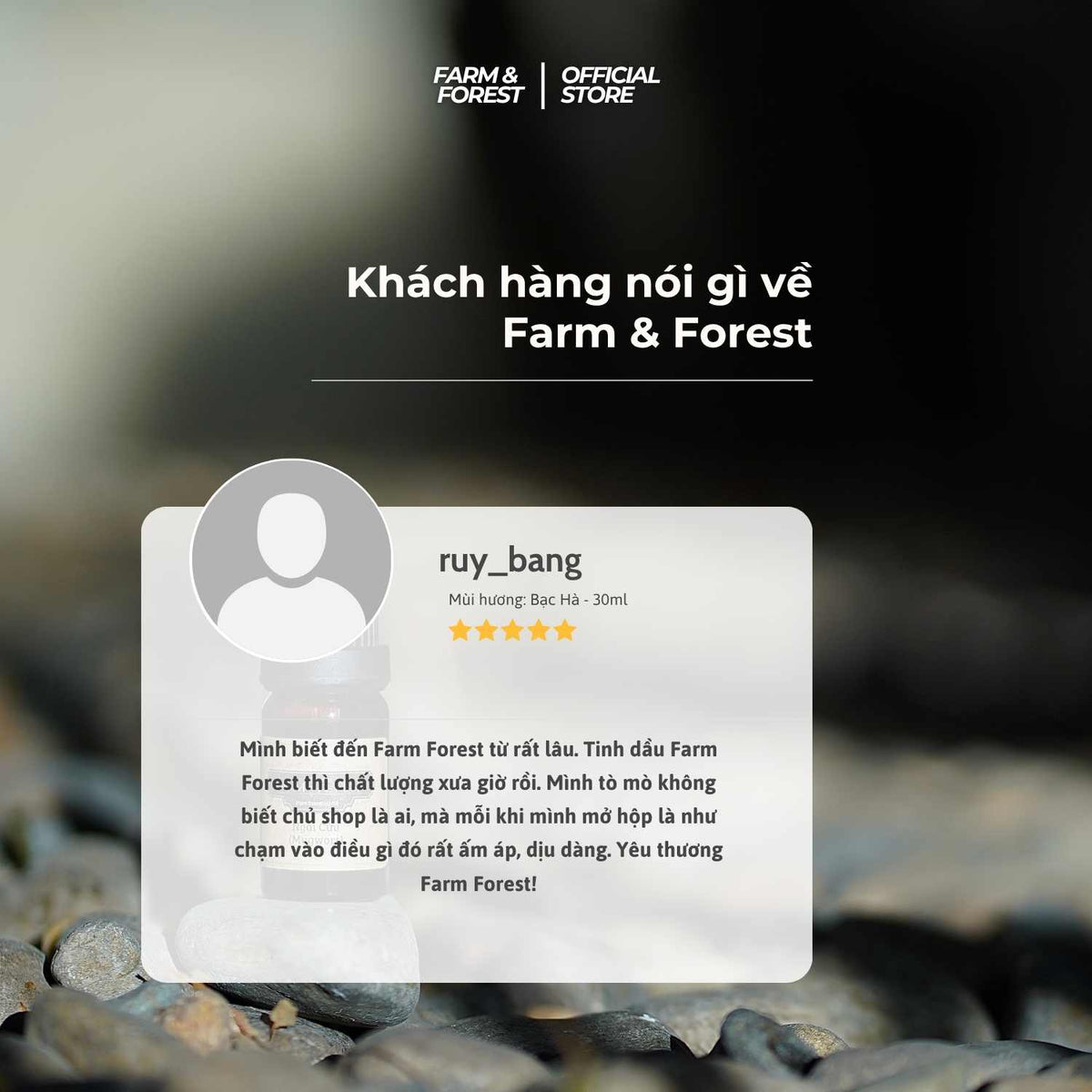 Tinh Dầu Tràm Trà