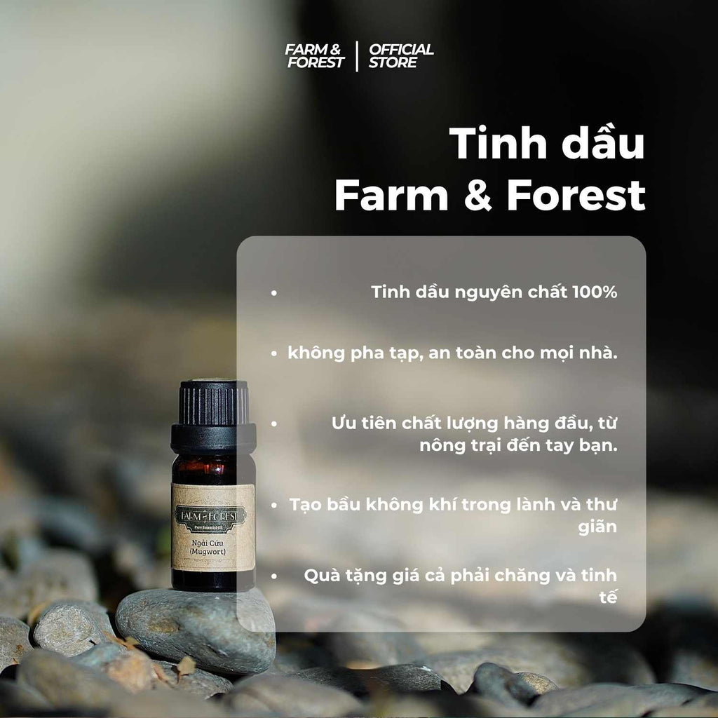 Tinh Dầu Tràm Trà