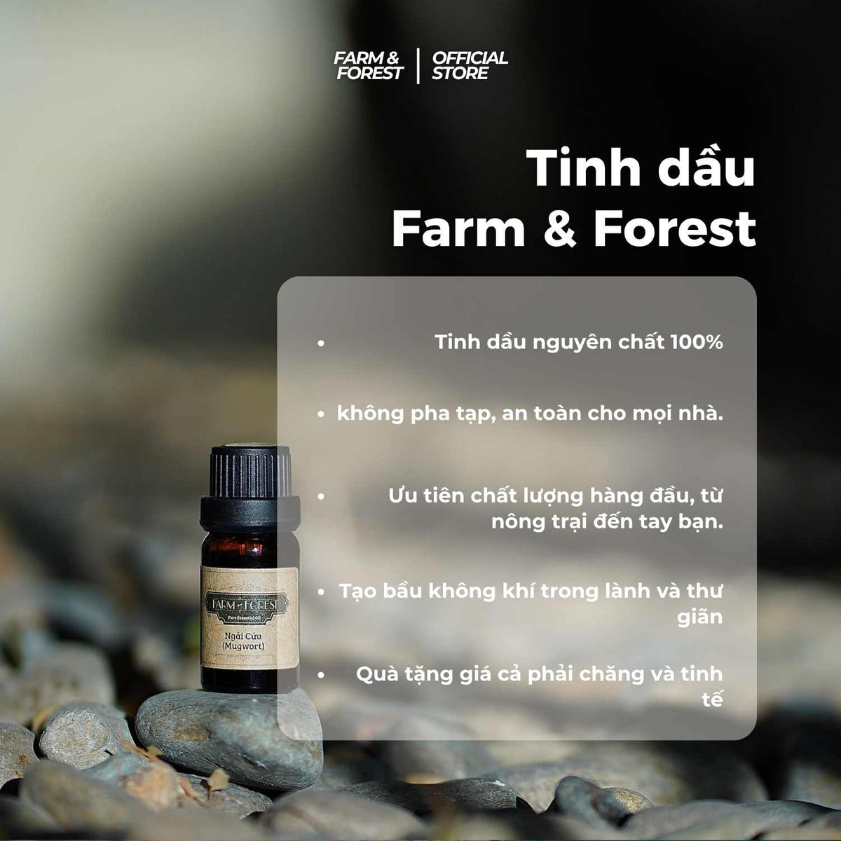 Tinh Dầu Tràm Trà