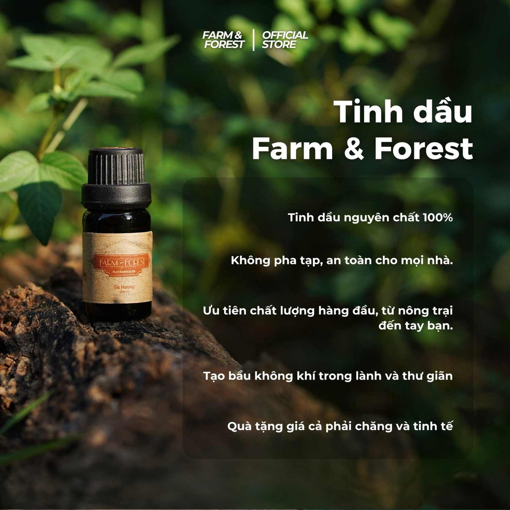 Tinh Dầu Ngọc Am