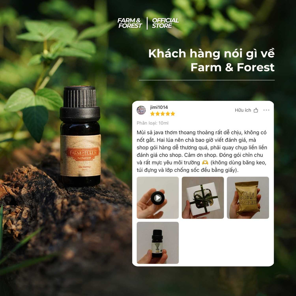 Tinh Dầu Tiêu Đen