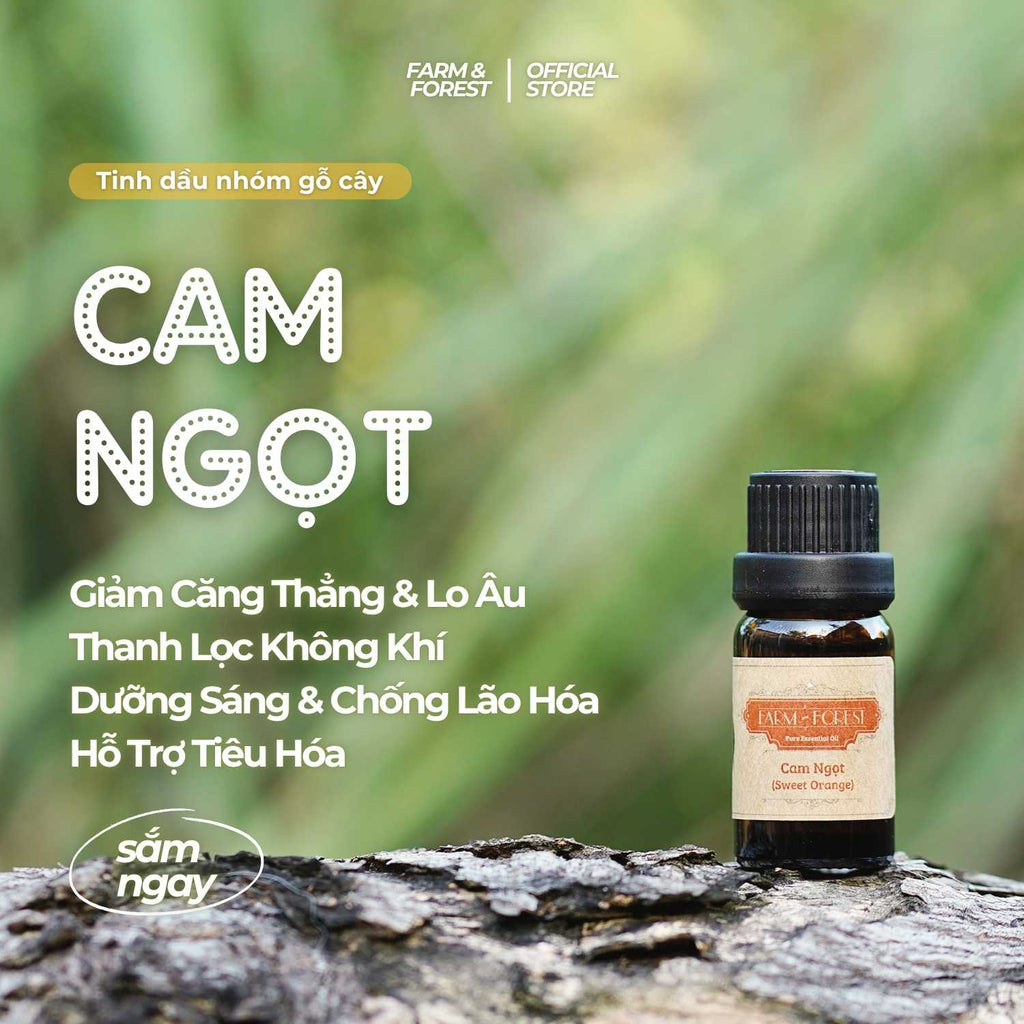 Tinh Dầu Cam Ngọt