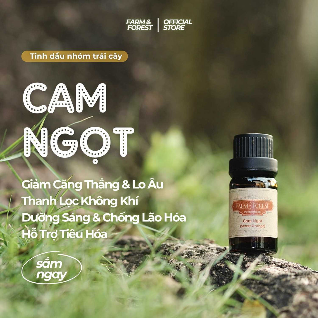 Tinh Dầu Cam Ngọt