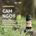 Tinh Dầu Cam Ngọt