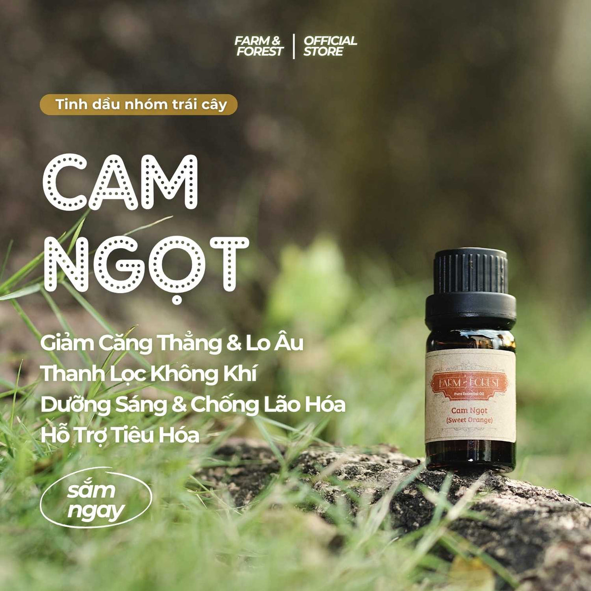 Tinh Dầu Cam Ngọt