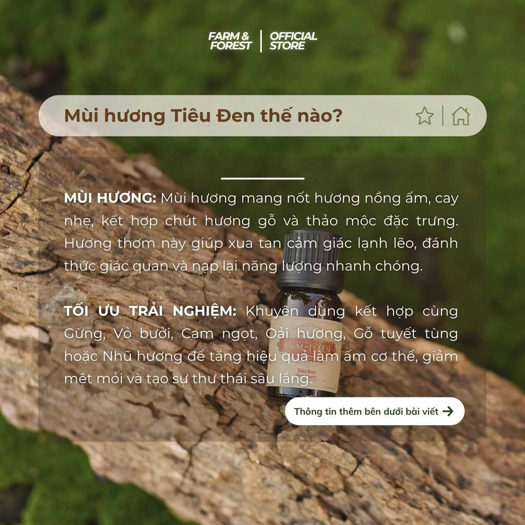 Tinh Dầu Tiêu Đen