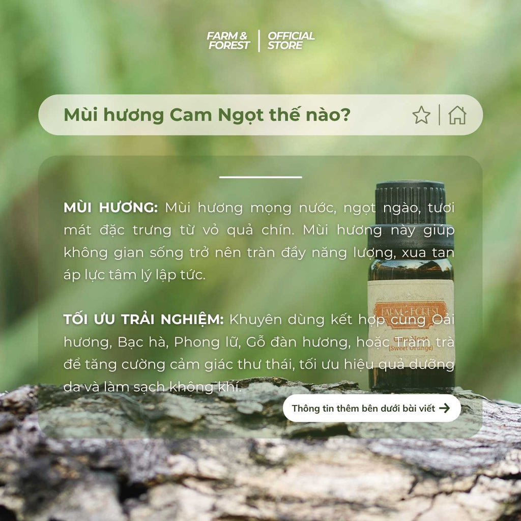Tinh Dầu Cam Ngọt