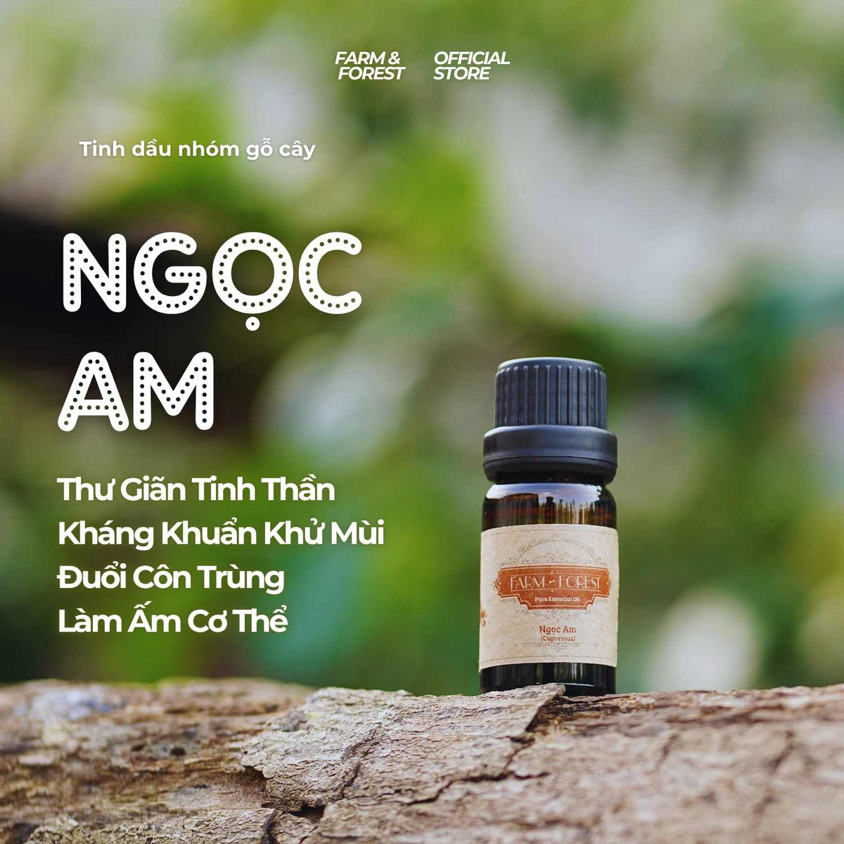 Tinh Dầu Ngọc Am