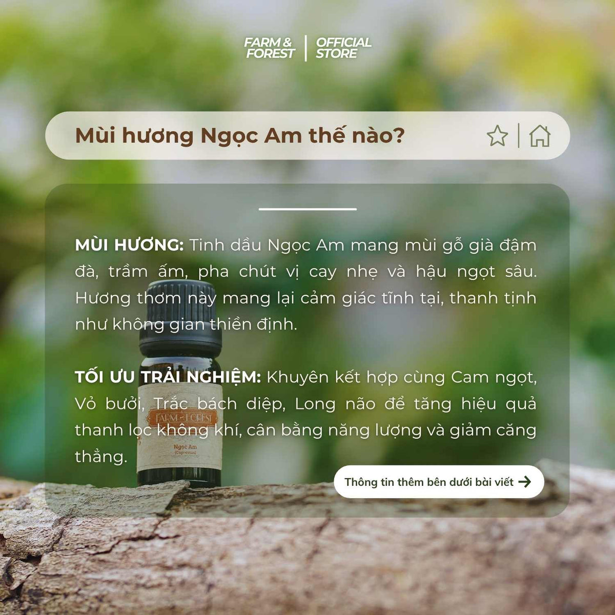 Tinh Dầu Ngọc Am