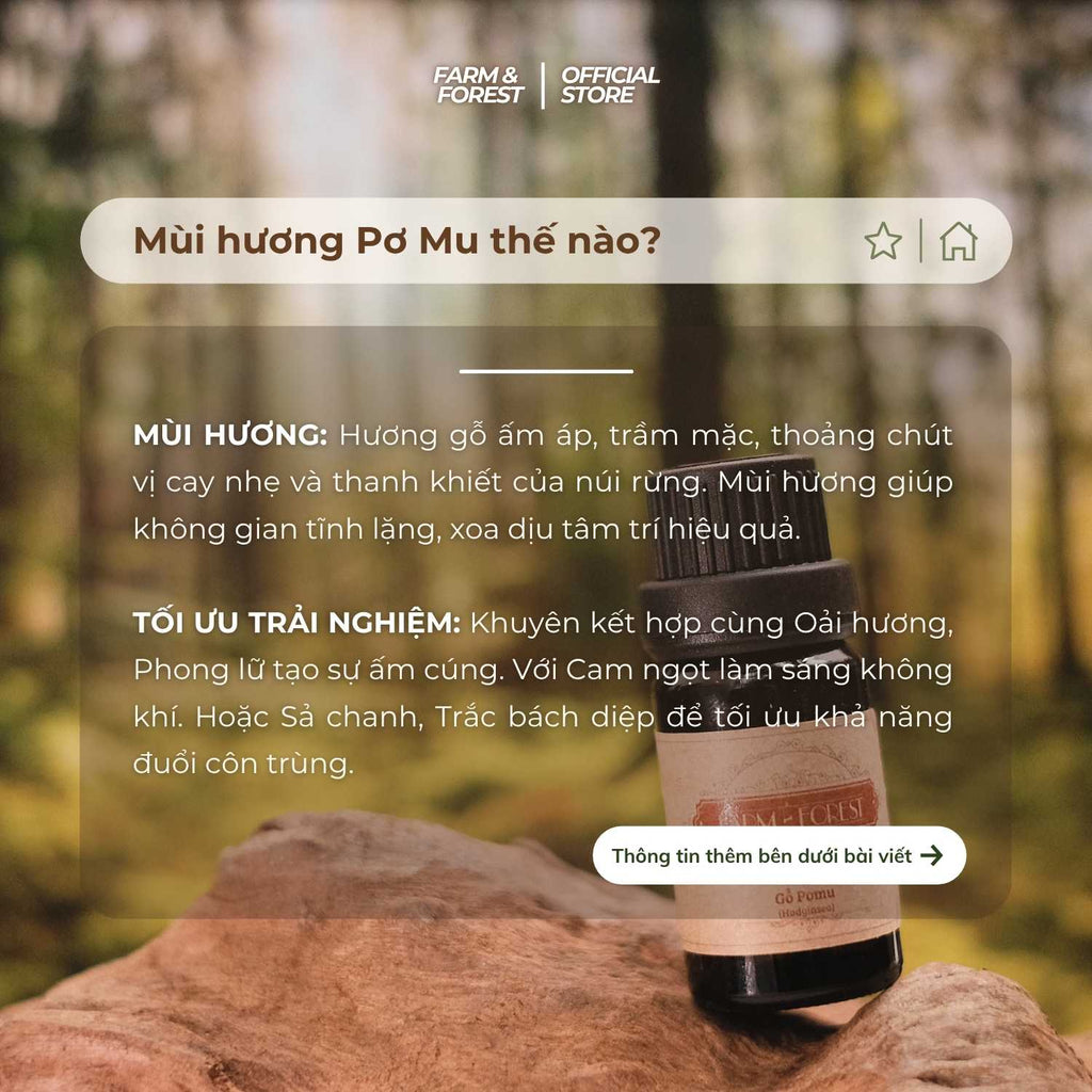 Tinh Dầu Gỗ Pơmu