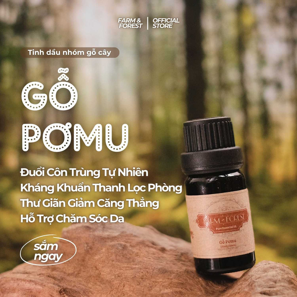 Tinh Dầu Gỗ Pơmu